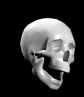 a1_skull60